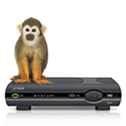 Free TV, phone and Internet for 1 year